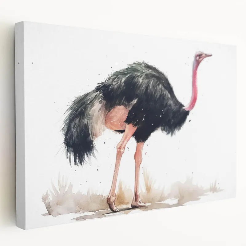 Watercolor Ostrich Wall Art - Minimalist African Ostrich Decor Wholesale