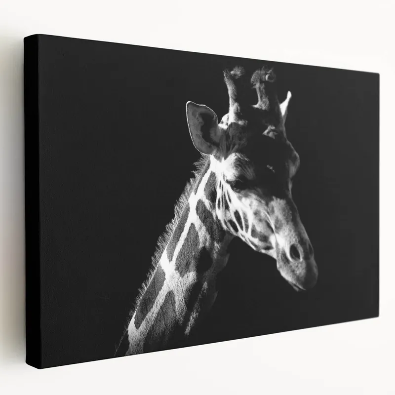 Popular Elegant Giraffe Wall Art - Black and White Wildlife Canvas Print