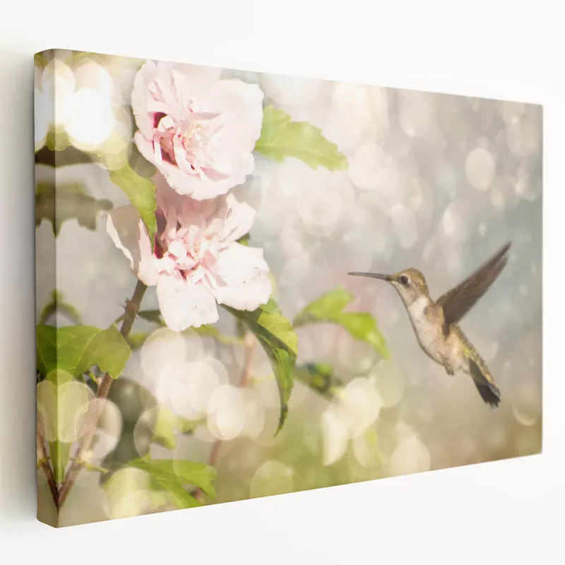 Trusted Brand Dreamy Hummingbird Wall Art - Serene Hummingbird Decor & Print