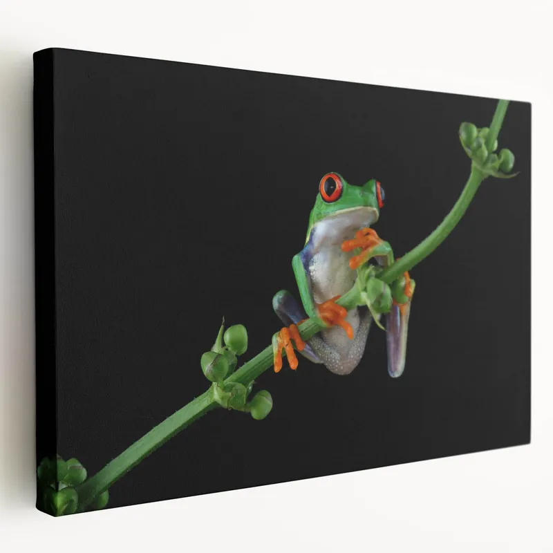 Tree Frog Wall Art - Vibrant Amphibian Canvas Print for Nature Decor Cheap