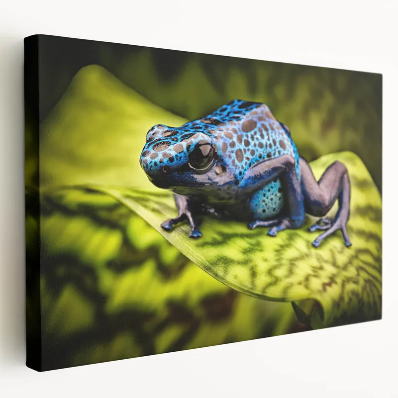 Top Rated Striking Blue Frog Wall Art - Bold Amphibian Canvas & Framed Prints
