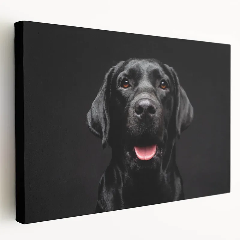 Crafted Striking Black Labrador Art Prints - Dog Wall Decor for Modern Homes