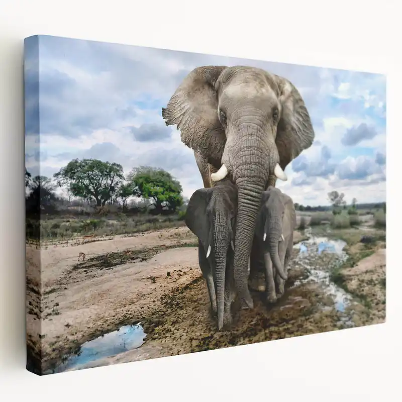 Elephant Family Wall Art - Majestic Wildlife Canvas & Framed Prints Grab Now
