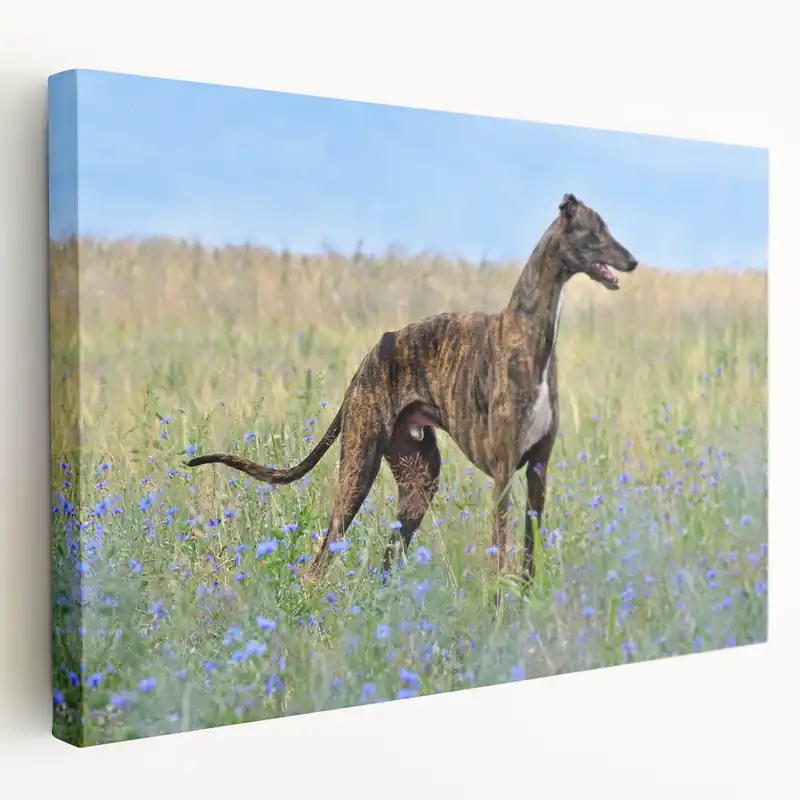 Flash Sale Elegant Greyhound Dog Art Prints - Dog Wall Decor for Animal Lovers
