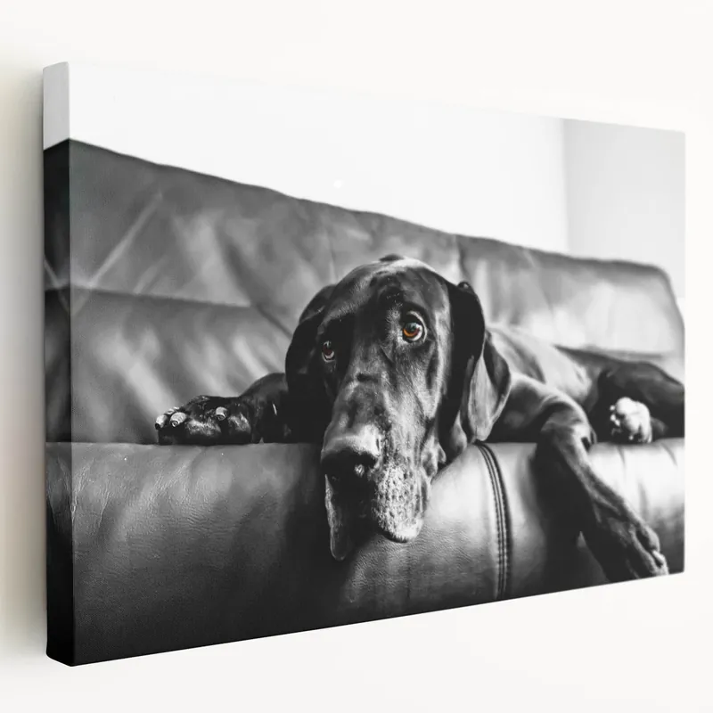 Secure Checkout Captivating Dog Art Prints - Dog Wall Decor for Animal Lovers