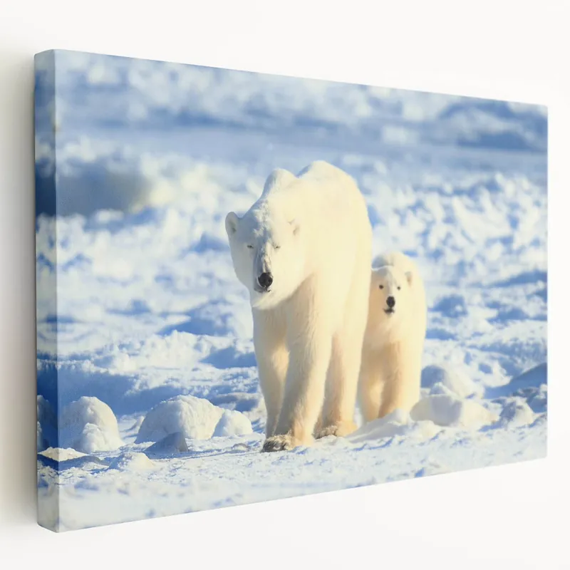 Polar Bear and Cub - Arctic Wildlife Canvas Art Flash Sale