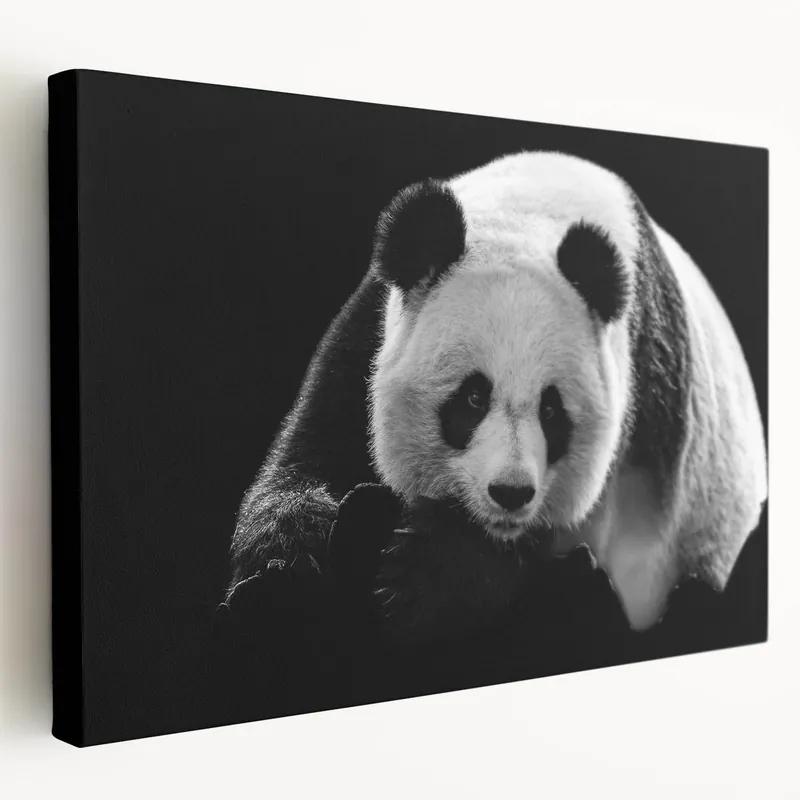 Elegant Panda Wall Art - Panda Bear Photography - Giant Panda Canvas Markdown