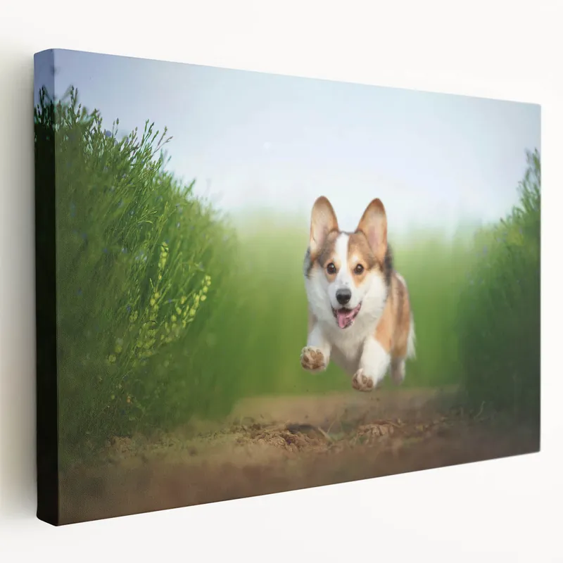 Bulk Order Energetic Corgi Wall Art - Corgi Canvas Print - Playful Corgi Decor