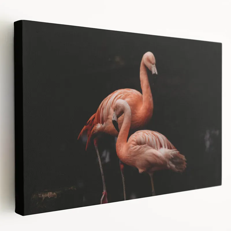 Low Price Elegant Flamingo Wall Art - Flamingo Canvas Print for Sophisticated Decor