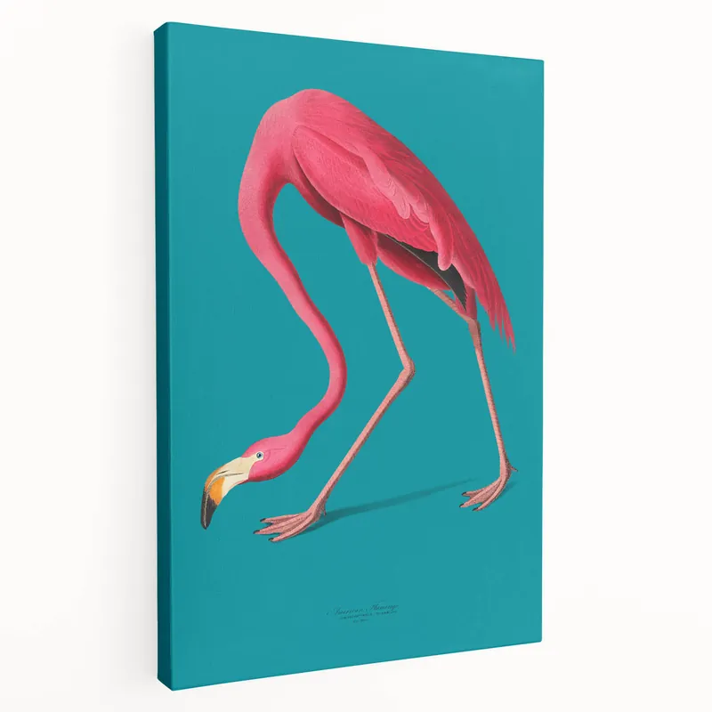 Markdown Tropical Flamingo Canvas Art - Elegant Pink Flamingo Wall Decor