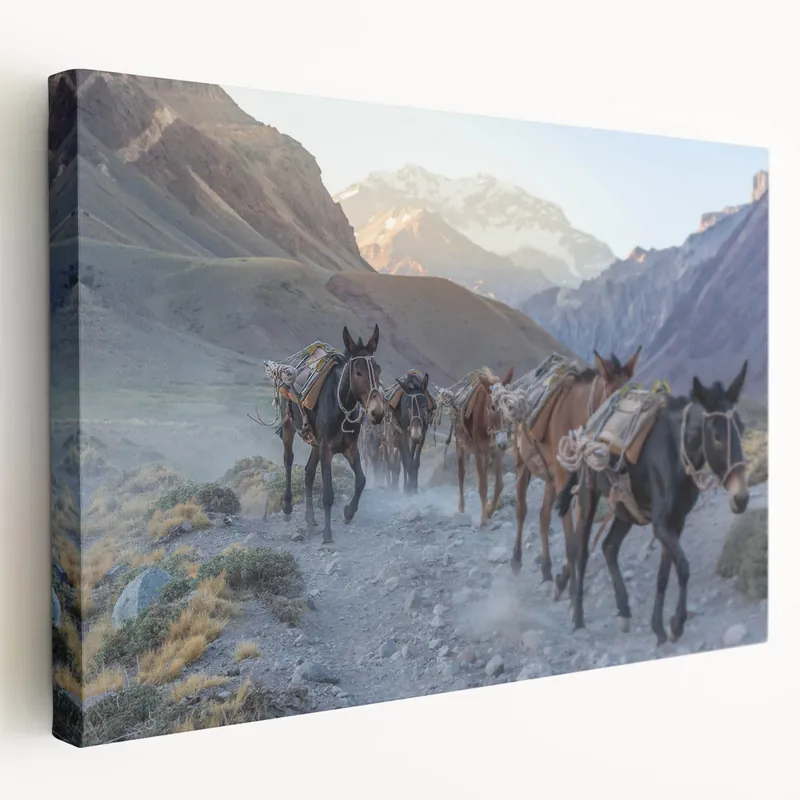 Journey of Donkeys - Rustic Mountain Path Canvas Art for Adventurous Decor Limited Edition