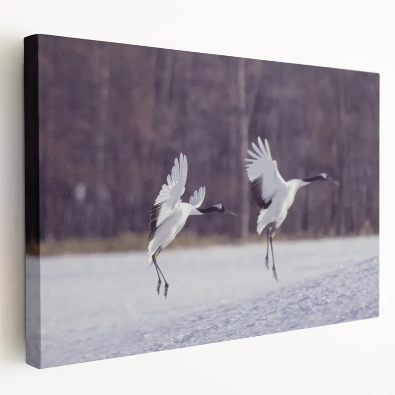 Graceful Crane Wall Art – Cranes in Mid-Air Flight on Canvas & Acrylic Cheap