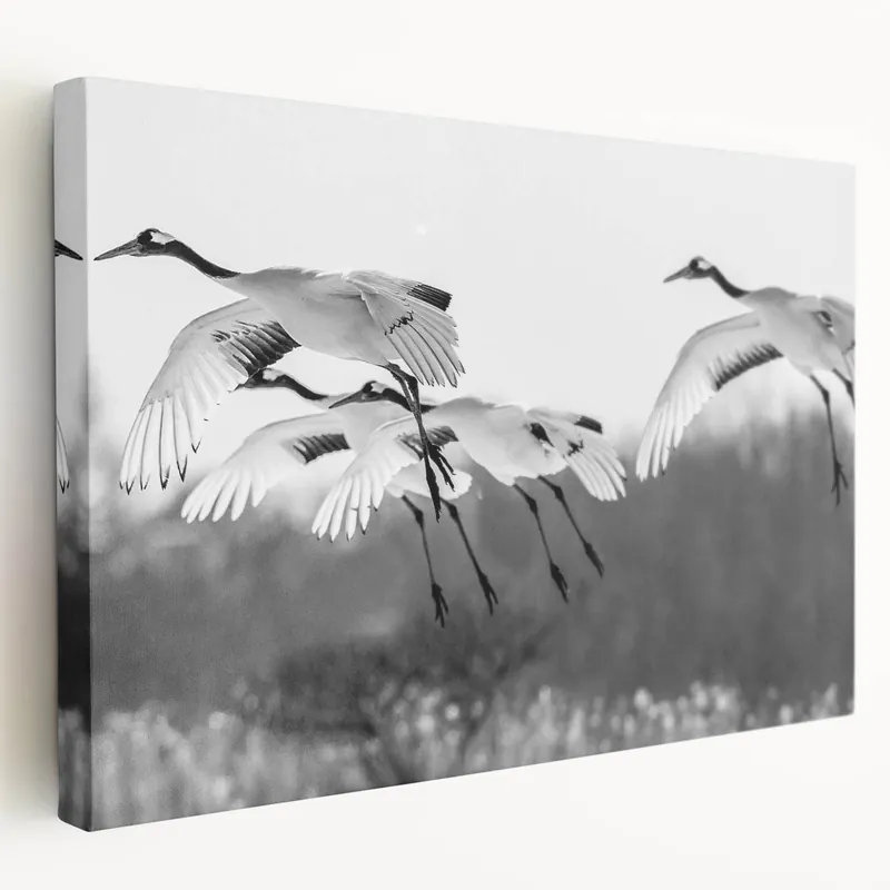 Serene Crane Wall Art – Flock of Cranes in Flight on Canvas & Acrylic Editor’s Pick