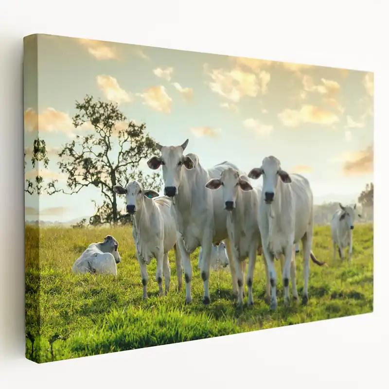 Factory Price White Cows in Pasture Wall Art - Peaceful Cow Canvas for Farmhouse Decor
