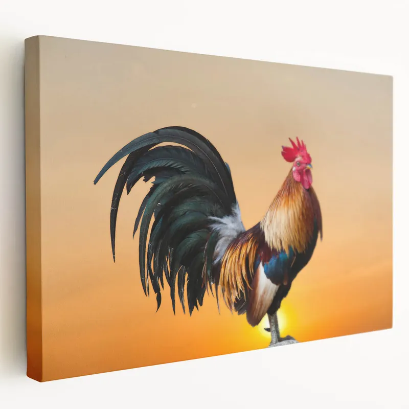 Sunrise Rooster Elegance - Stunning Chicken Wall Art for Warm Decor New Release