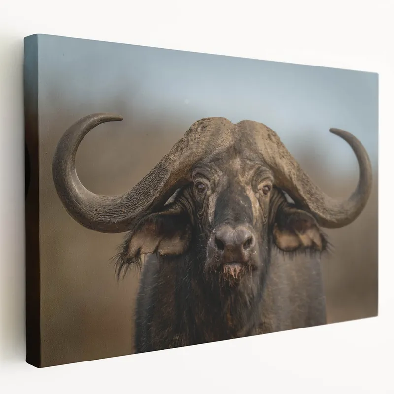 Bison Wall Art – Majestic Buffalo Close-Up for Rustic Decor Wholesale