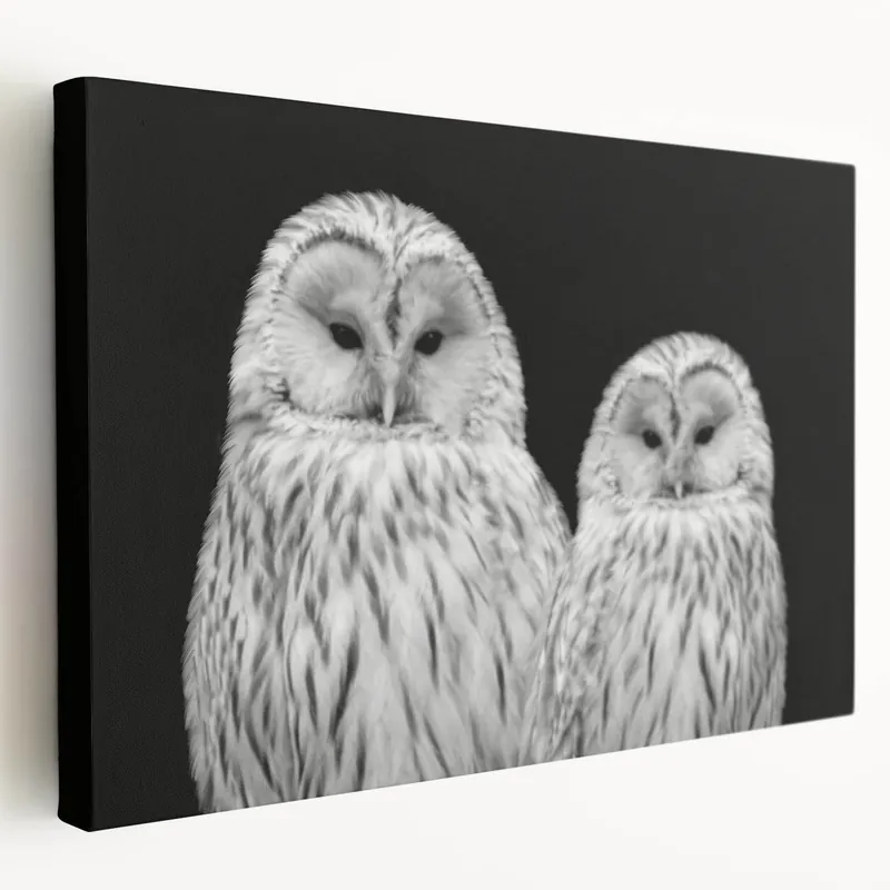 Bargain Elegant Owl Duo Wall Art - Majestic Black and White Birds of Prey Canvas