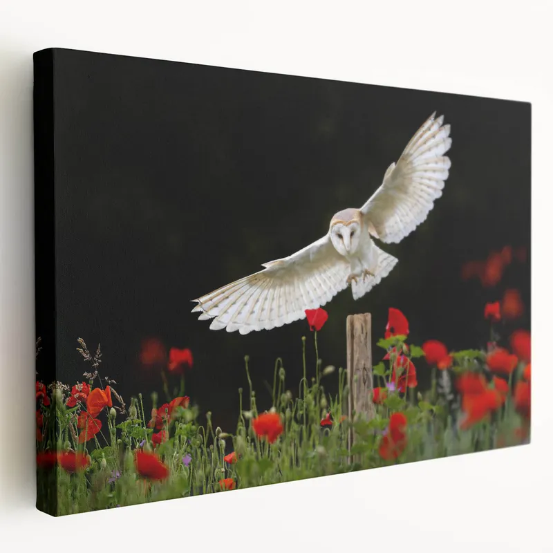 Elegant Owl Wall Art - Stunning Birds of Prey in Blooming Garden Canvas Hot Deal