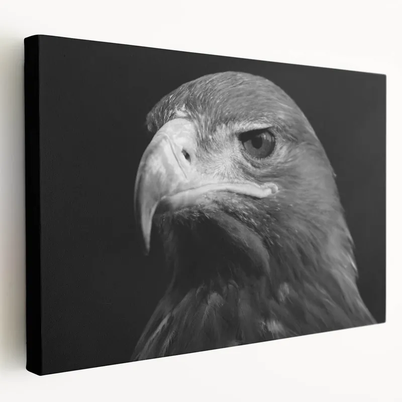 Regal Eagle Portrait Wall Art - Black and White Birds of Prey Print Place Order