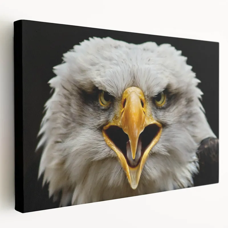 Fierce Birds of Prey Wall Art – Bald Eagle Screaming Canvas Print Modern