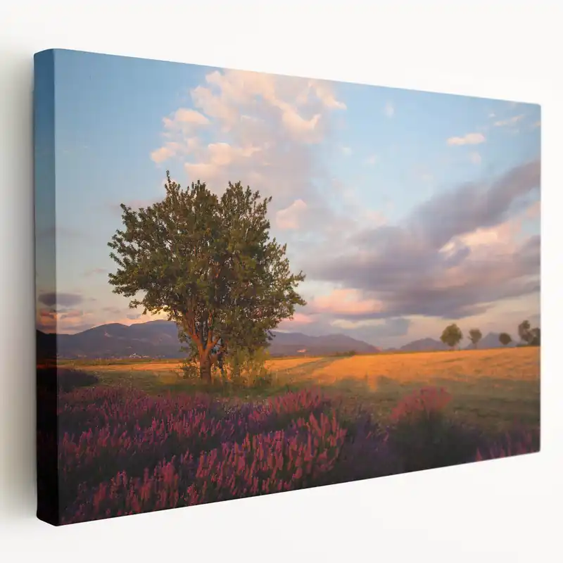 Big Sale Lavender Field Art Prints - Scenic Provence Sunset French Countryside Art