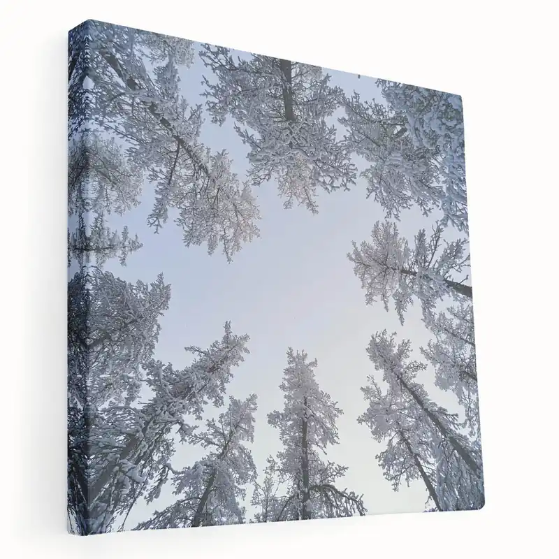 Free Shipping Chilled Beauty Artwork – Winter Wonderland Ice and Frost Art