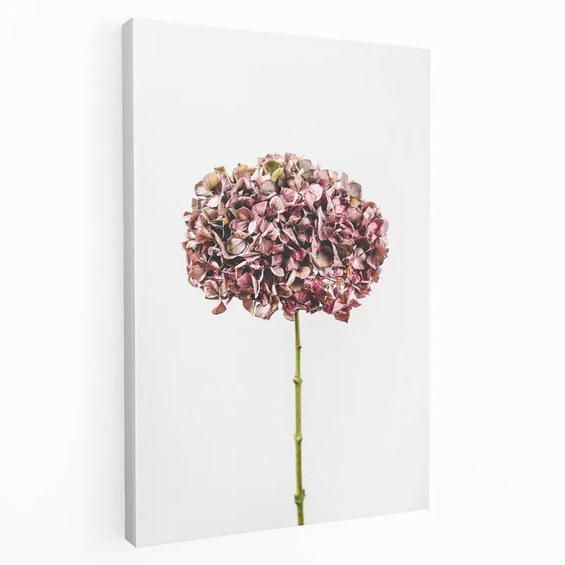 Special Discount Minimalist Spring Wall Art - Dried Hydrangea Floral Canvas Print