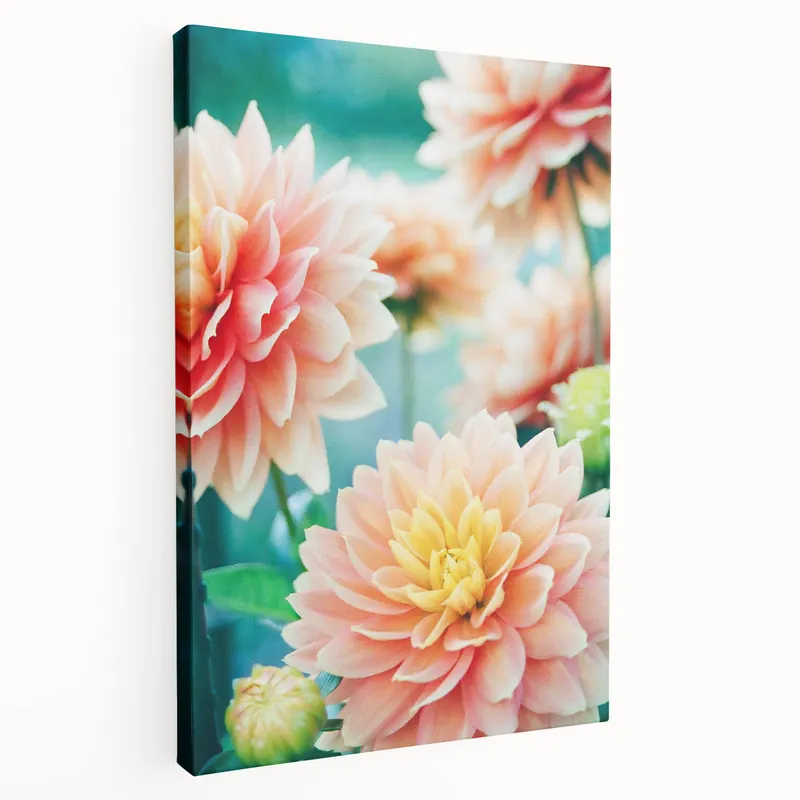 Order Now Soft Spring Wall Art - Pastel Dahlia Floral Spring Canvas Print