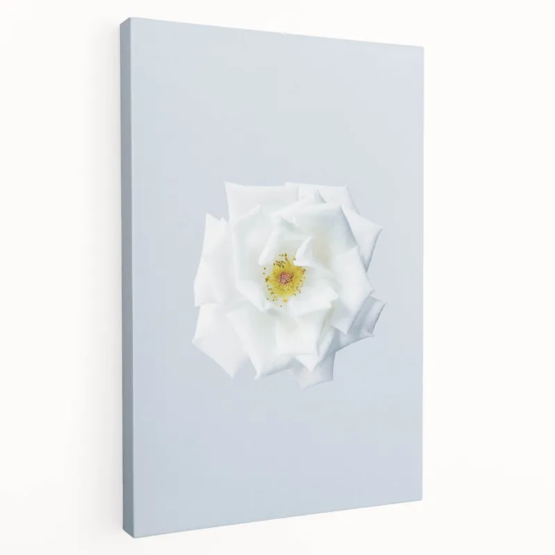 Genuine Minimalist White Rose Wall Art – Elegant Spring Floral Print