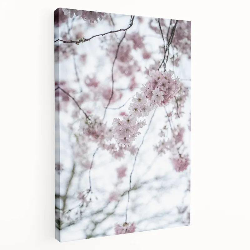 Instant Buy Ethereal Cherry Blossoms - Floral Spring Wall Art for Serene Spaces