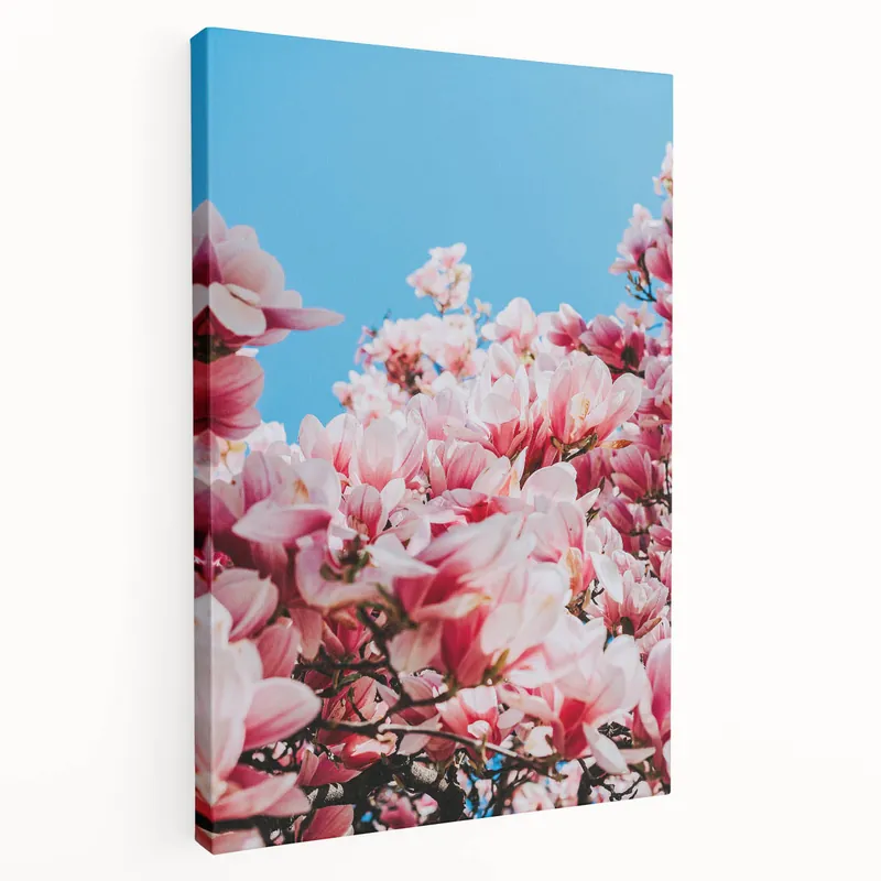 Magnolia Blossom Beauty - Floral Spring Wall Art for Elegant Decor Big Sale