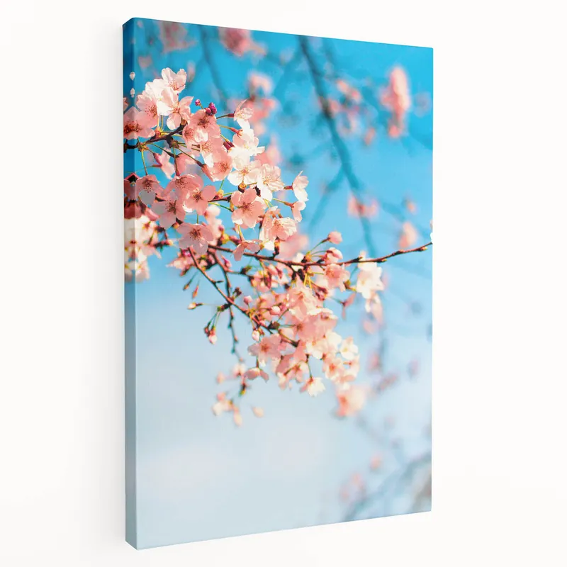 Cherry Blossom Dreams - Floral Spring Wall Art for Elegant Decor Bulk Order