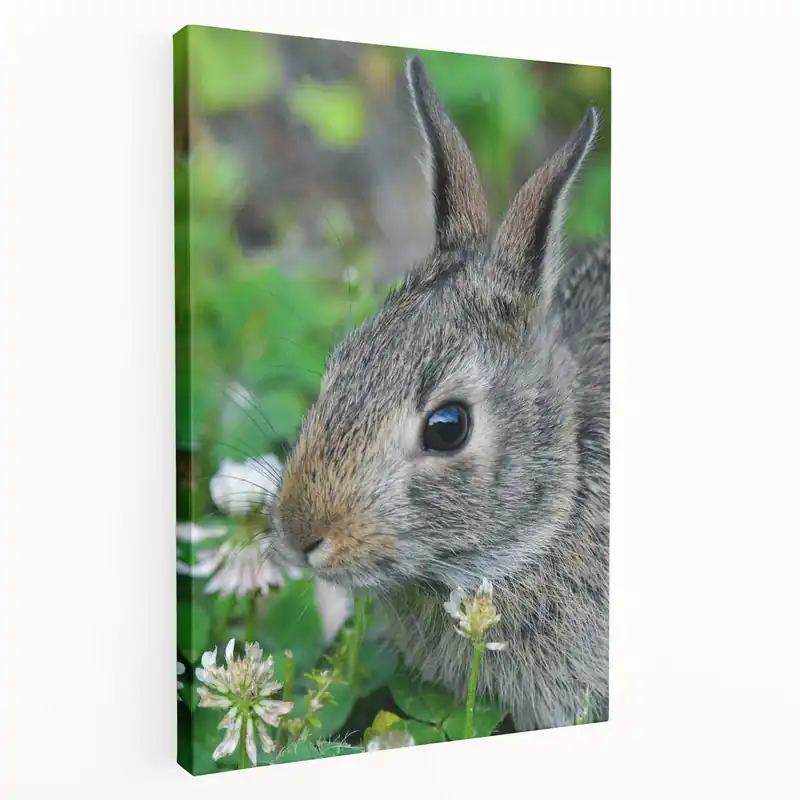 Springtime Bunny - Botanical Wall Art for Nature-Inspired Decor Holiday Sale