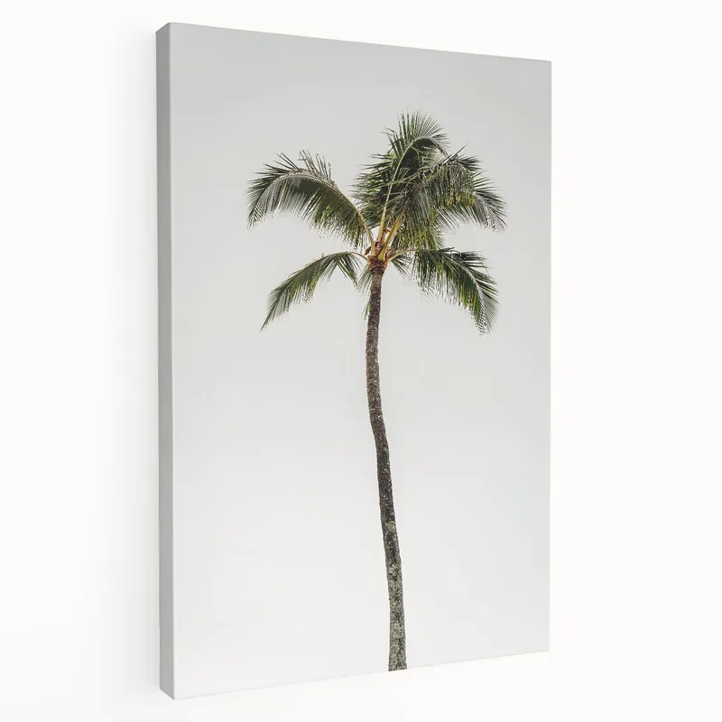 Tropical Wall Art - Minimalist Palm Tree Summer Art Prints Best Price