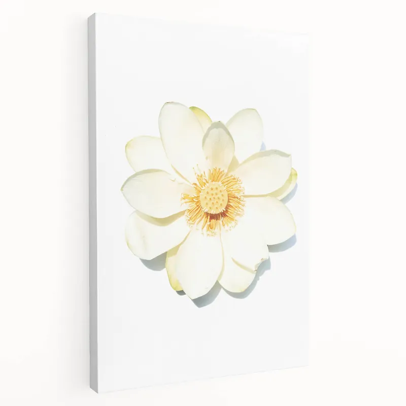 White Lotus Flower - Spring Wall Art Floral Botanical Canvas Free Returns