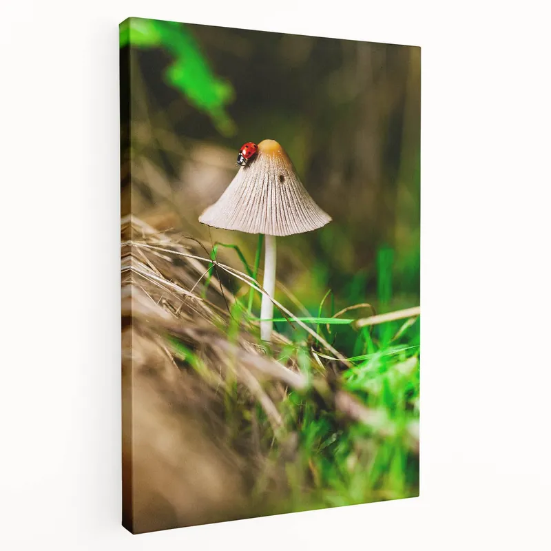 Place Order Spring Wall Art – Botanical Mushroom & Ladybug Nature Canvas Print