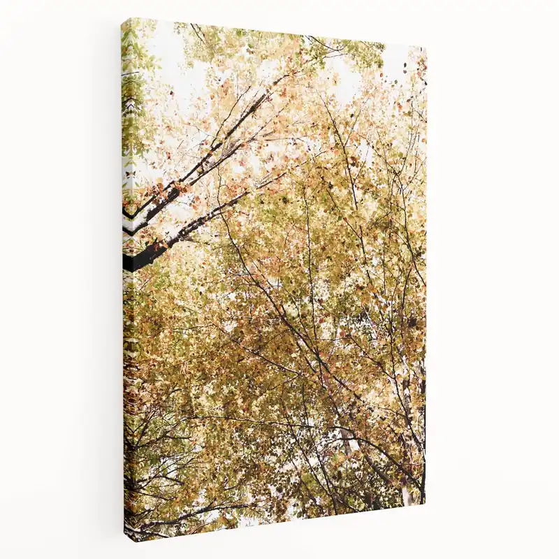 Place Order Golden Autumn Canopy – Fall Wall Art for Tranquil Interiors