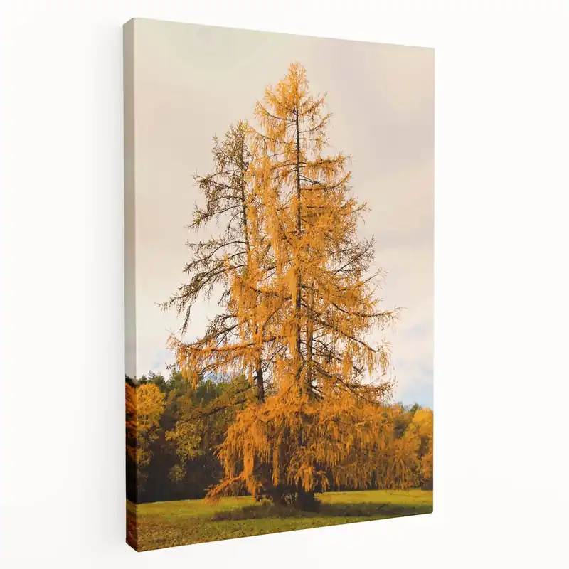 Modern Golden Autumn Tree in Meadow – Fall Wall Art for Nature Lovers