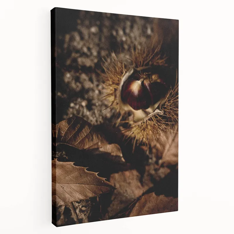 Autumn Chestnut Close-Up – Fall Wall Art for Rustic Decor High Quality