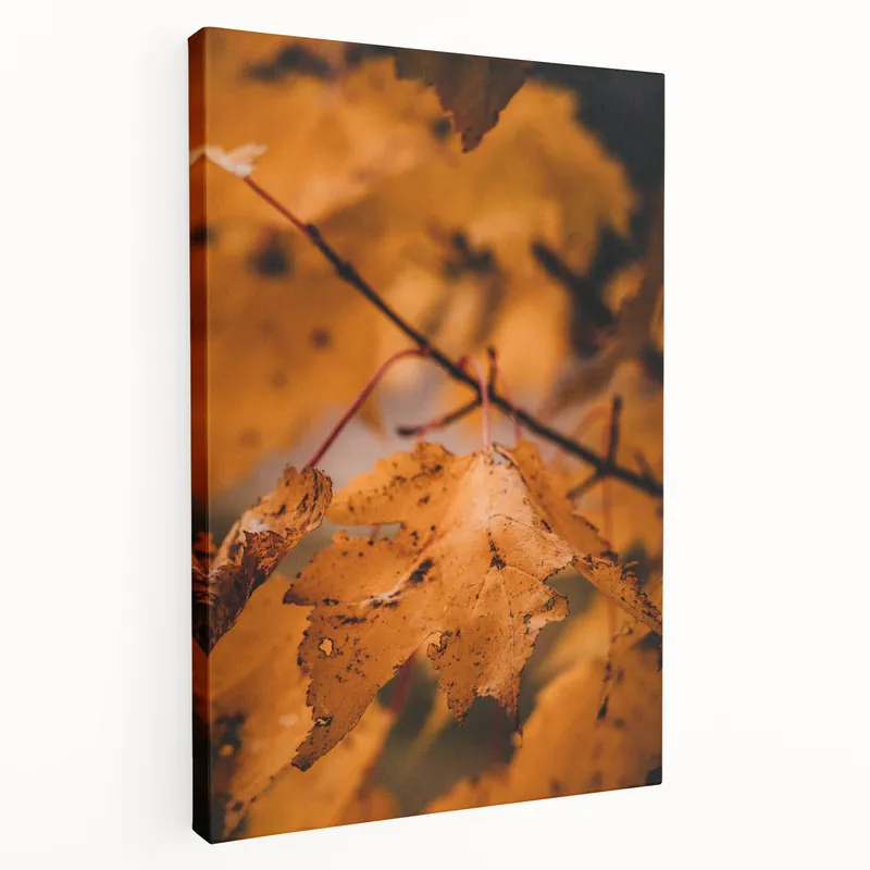 Seasonal Sale Golden Maple Leaves - Fall Wall Art Autumn Canvas Art Print