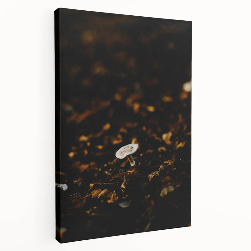 Mystical Fall Wall Art – Autumn Mushroom & Leaves Canvas Print Buy Direct