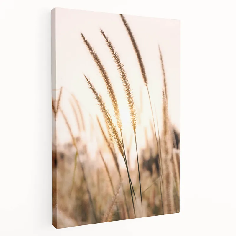 Summer Landscape Art - Golden Sunlight on Wild Grasses Canvas Next Day Delivery