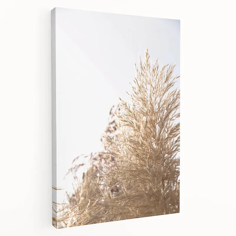 Markdown Summer Vibes Prints – Sunlit Golden Grass Canvas