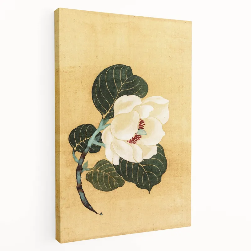 Vintage Botanical Art Prints - Antique Magnolia Flower Wall Decor Markdown