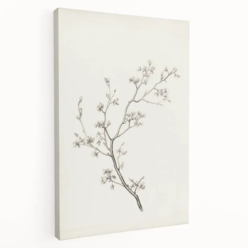 Vintage Botanical Art Prints – Black and White Branch Illustration Place Order