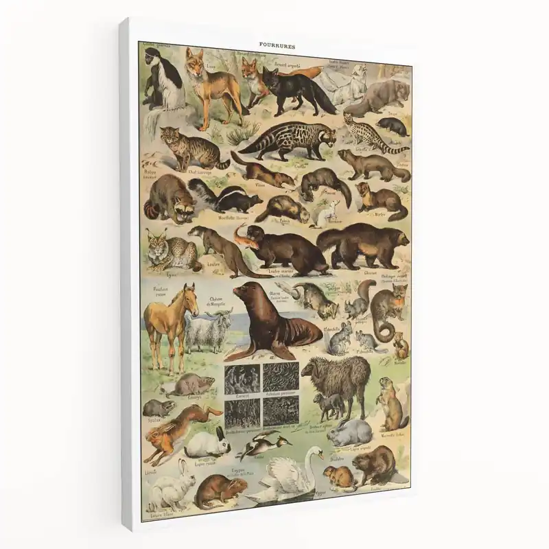 Luxury Vintage Animal Art - Fur-Coated Wildlife Illustration Print for Home Decor
