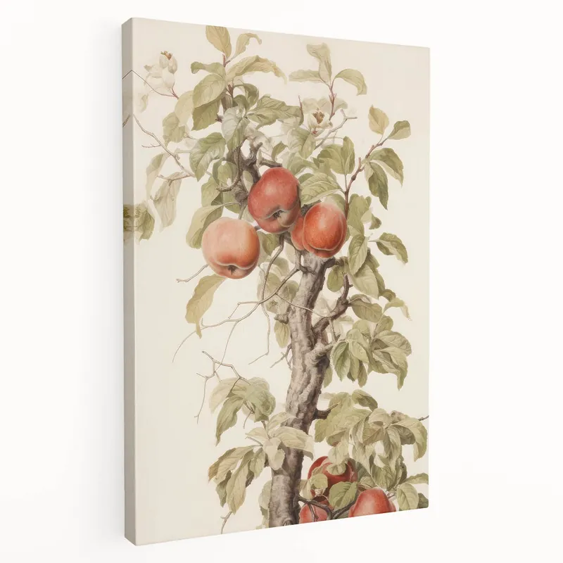 Top Rated Vintage Botanical Art Prints – Apple Tree Illustration with Red Fruit