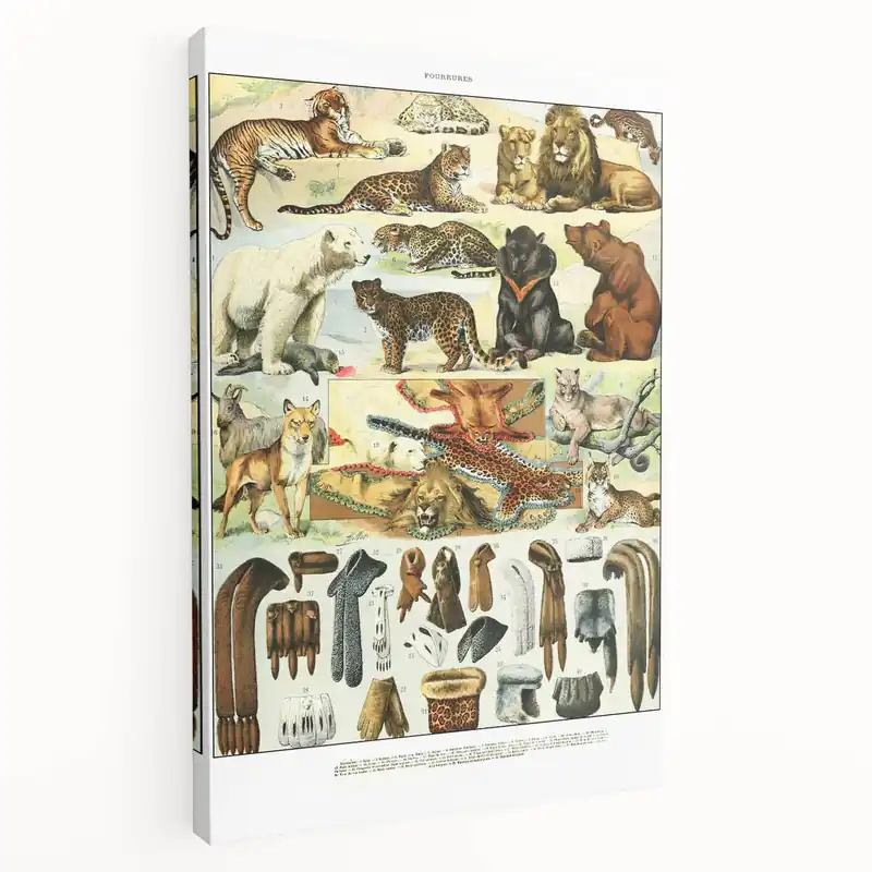 Seasonal Sale Vintage Animal Art - Fur-Coated Animals Illustration Print for Home Decor