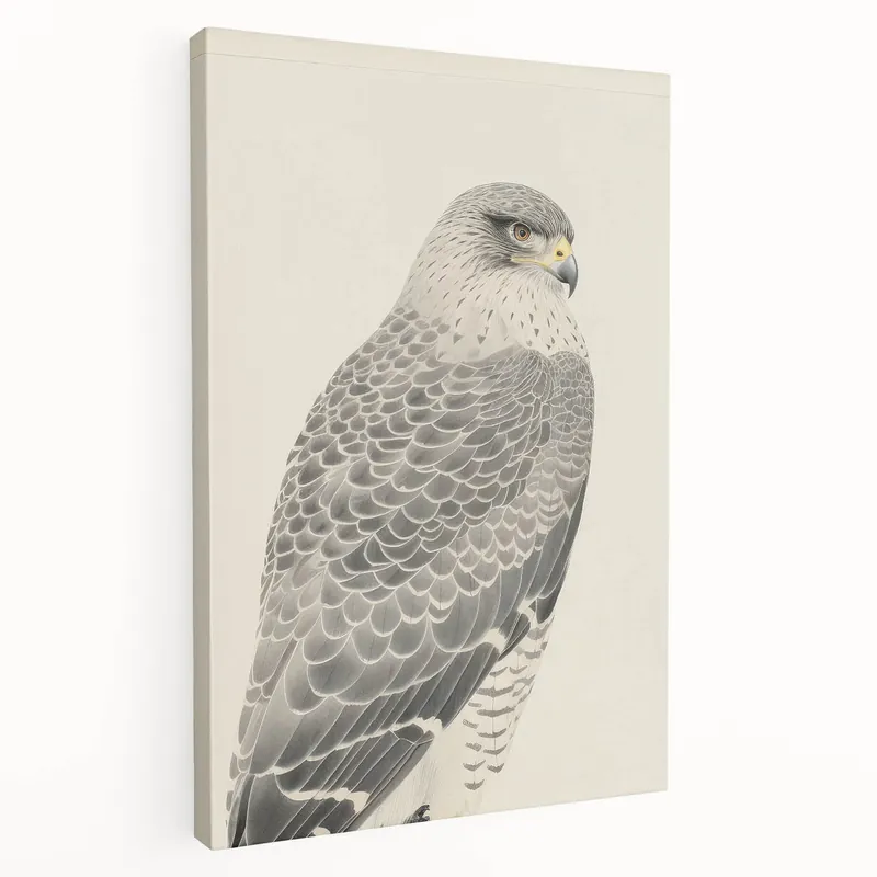 Today Only Vintage Animal Art - Falcon Illustration Print for Home Decor
