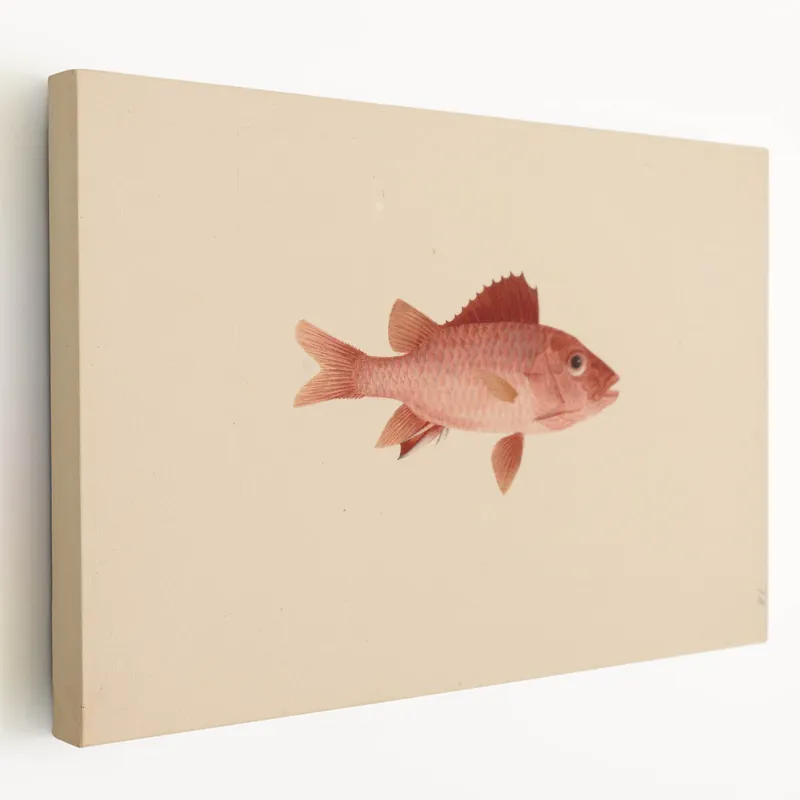 Place Order Vintage Animal Art – Handcrafted Fish Illustration Wall Decor